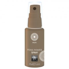   HOT Shiatsu Penis Power - stimulačný intímny sprej pre mužov (30 ml)